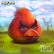 Coleção Angry Birds